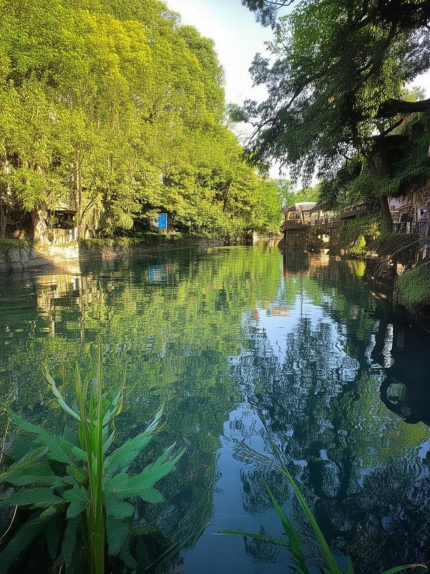 抖音里谁可以帮忙涨粉_抖音涨粉助手是谁？插图